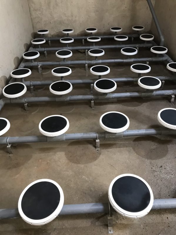 Công Ty TNHH Công Nghệ Môi Trường Phương Đông